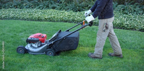 lawn mowing