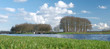 panorama of river