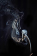 smoke-13