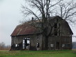 dark wet scary old barn on green grass on a damp o dark wet scary old barn on green grass on a damp o