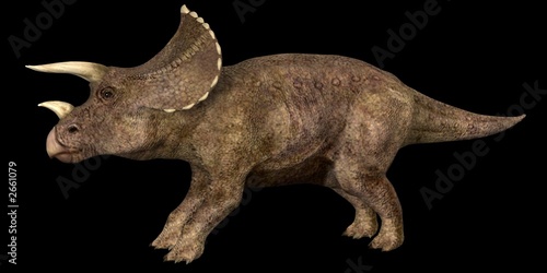Illustration: dinosaure dinosaure