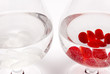 white and red wine