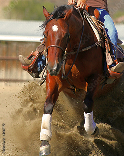 rein on me