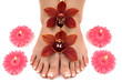 orchids and feet