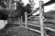 wooden fence and field