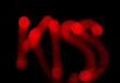 lichtspiel kiss lichtspiel kiss
