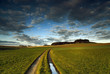 der weg