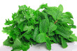 fresh herbs