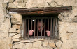 prisoner