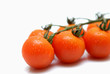 tomates grappe 2