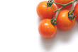 tomates grappe 3