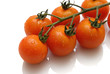 tomates grappe 6