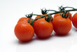 tomates grappe 7
