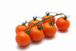 tomates grappe 8
