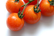tomates grappe 9