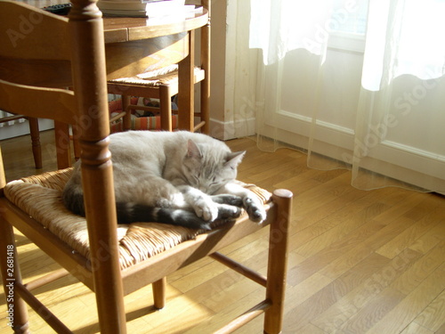 sieste sieste