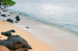 serenity 1