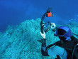 underwater photographer