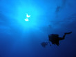 divers in the blue