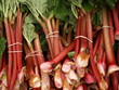 rhubarb