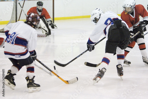 shot on goal, hockey shot on goal, hockey