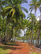 ile royale