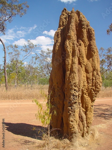 termitière au kakadu park / australie