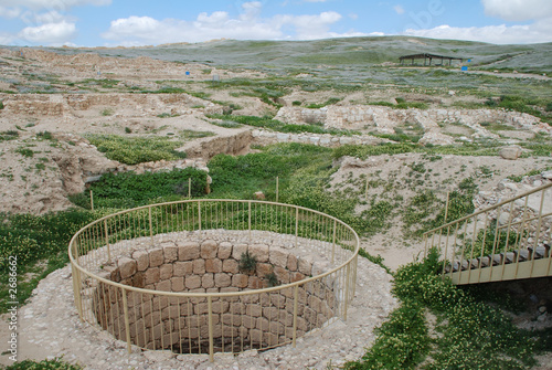 tel arad tel arad