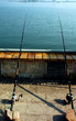 chinese fishing