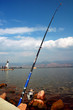 chinese fishing
