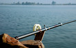 chinese fishing