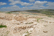 tel arad tel arad