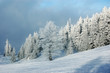 snowy