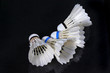 shuttlecock and badminton