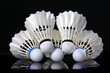 shuttlecock and badminton