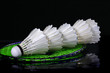 shuttlecock and badminton