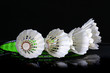 shuttlecock and badminton