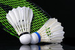 shuttlecock and badminton