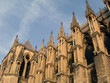 notre dame of paris