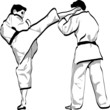 combat