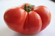 tomate bio tomate bio