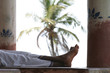 zen tropical