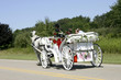 horse-drawn newlyweds