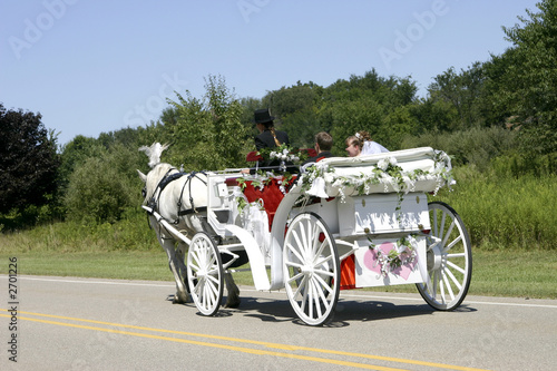 Photo: horse-drawn newlyweds horse-drawn newlyweds