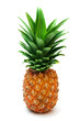 Photo en ligne au meilleur prix ripe pineapple