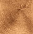 wooden cut texture