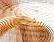 water ripples on fractal