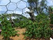 inside eden