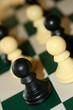 echecs