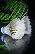 shuttlecock and badminton